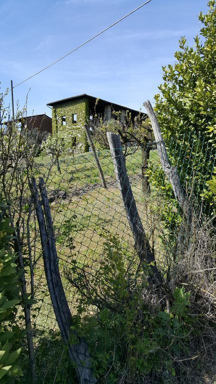 La Torretta - Cerreto Grue Bed and Breakfast Sarezzano Exteriör bild